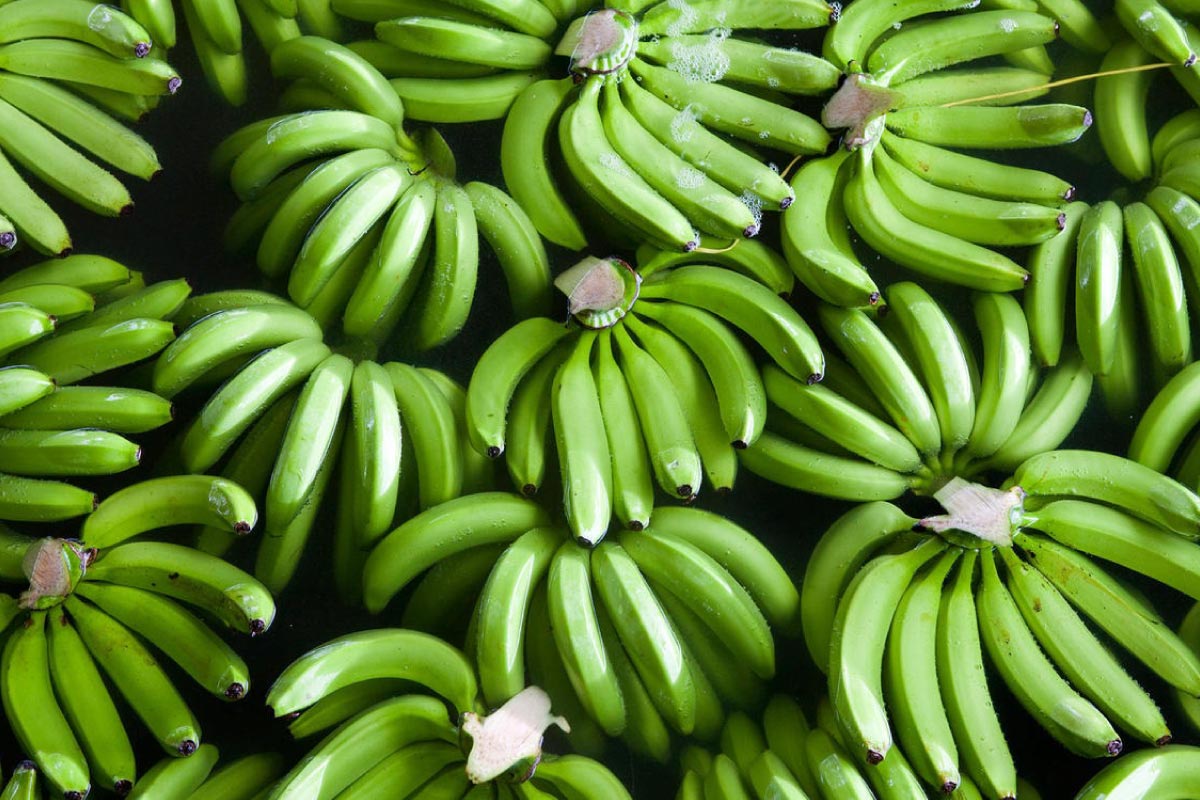 Alihan Fruits | İç ve Dış Tic. Ltd. Şti.